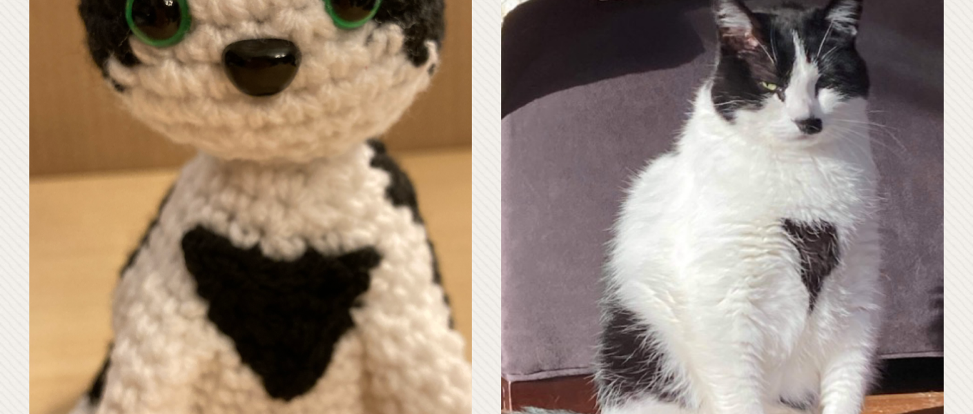 Side-by-side crochet and real cat front